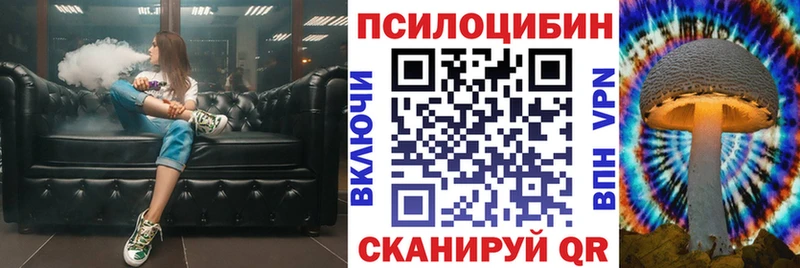 Купить  Волоколамск  Псилоцибиновые грибы GOLDEN TEACHER 