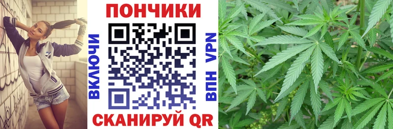 Шишки марихуана семена  Купить где  Волоколамск 